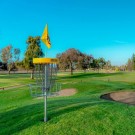 Flagg til discatcher  thumbnail